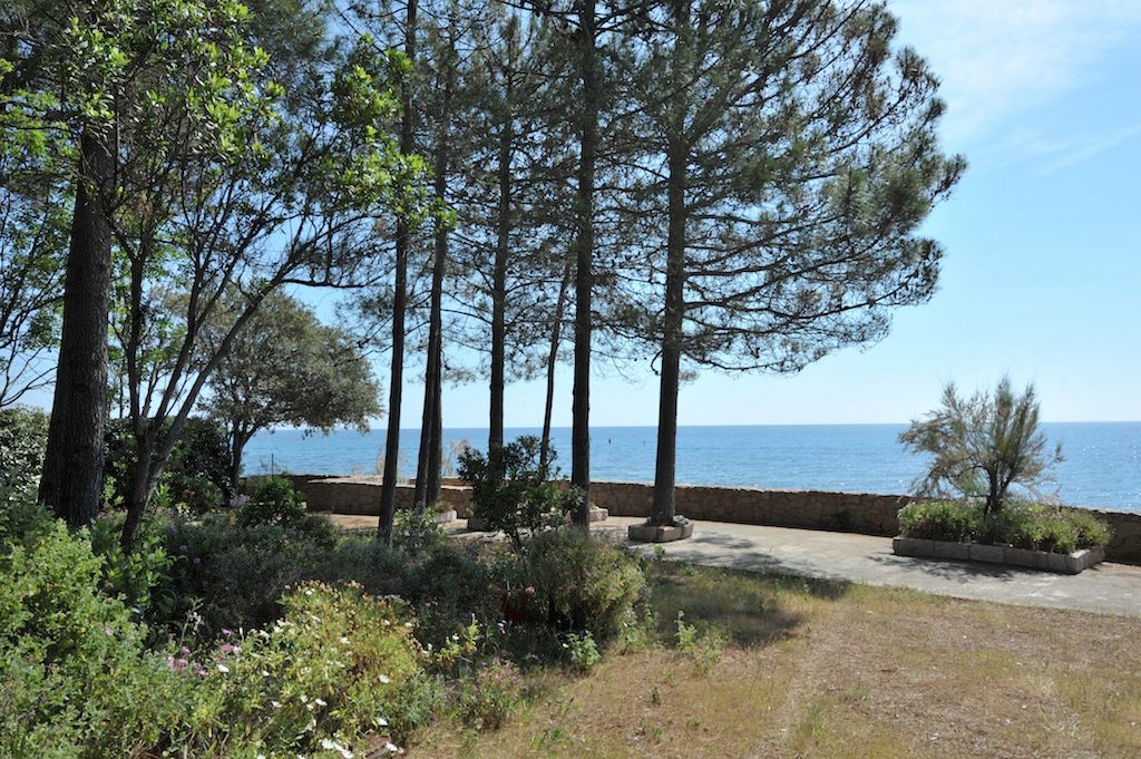 PIEDS DANS L'EAU ! Terrain à bâtir VIABILISÉ avec VUE MER PANORAMIQUE disposant d'un CABANON EXISTANT (viabilisé), Tarco. PIEDS DANS L'EAU ! Terrain à bâtir VIABILISÉ avec VUE MER PANORAMIQUE disposant d'un CABANON EXISTANT (viabilisé), Tarco.