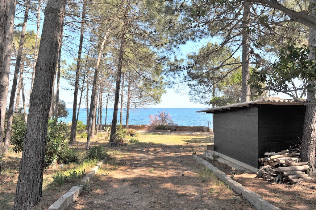 PIEDS DANS L'EAU ! Terrain à bâtir VIABILISÉ avec VUE MER PANORAMIQUE disposant d'un CABANON EXISTANT (viabilisé), Tarco. PIEDS DANS L'EAU ! Terrain à bâtir VIABILISÉ avec VUE MER PANORAMIQUE disposant d'un CABANON EXISTANT (viabilisé), Tarco.
