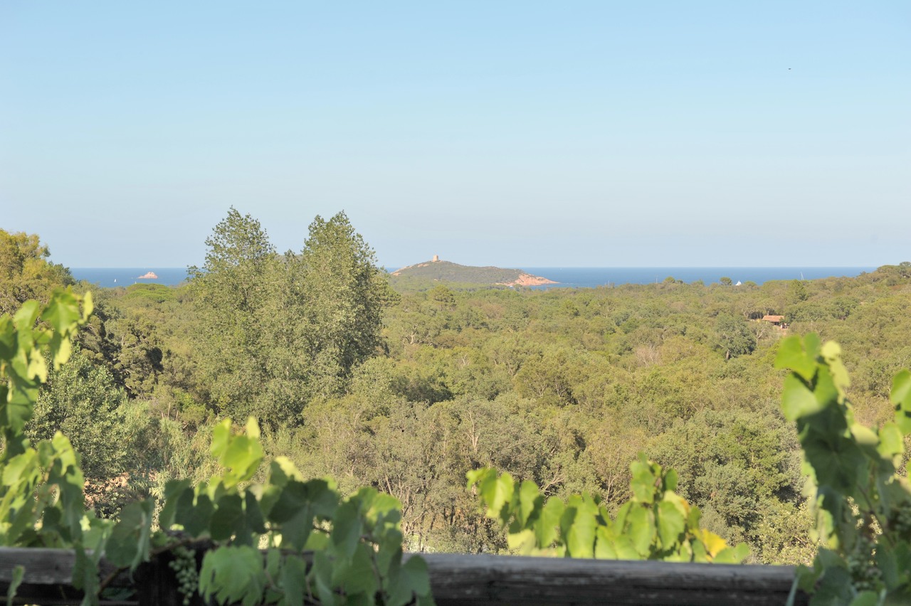 Entre St Cyprien et Pinarello, Villa T-5 VUE MER avec PISCINE et POOL-HOUSE.