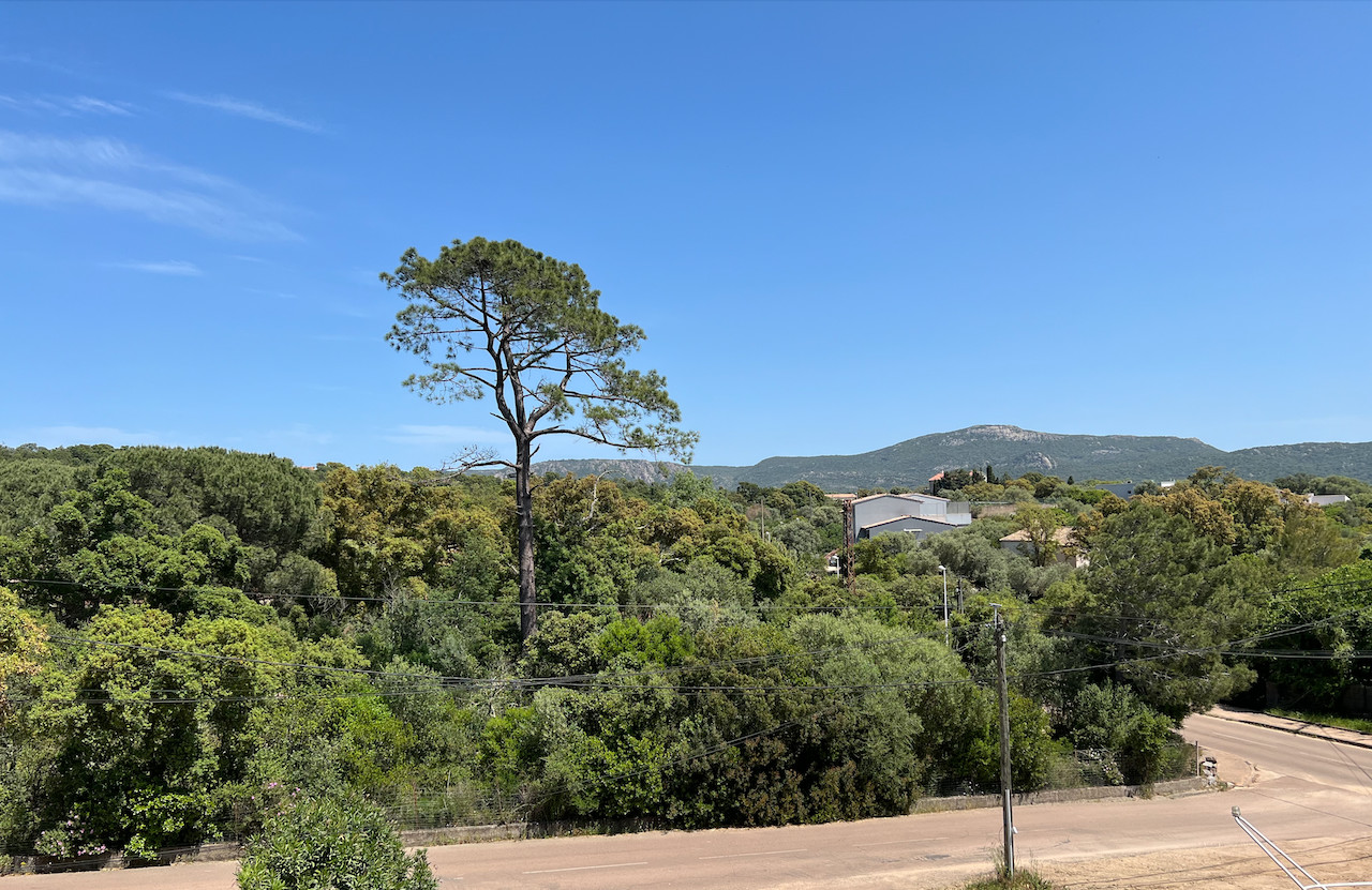 Porto-Vecchio Centre, IDÉALEMENT PLACÉ dans secteur en plein développement: TERRAIN A FORT POTENTIEL AVEC BÂTI EXISTANT POUR PROJET de CONSTRUCTION et PROMOTION (IMMEUBLE D'HABITATIONS et/ou COMMERCES).