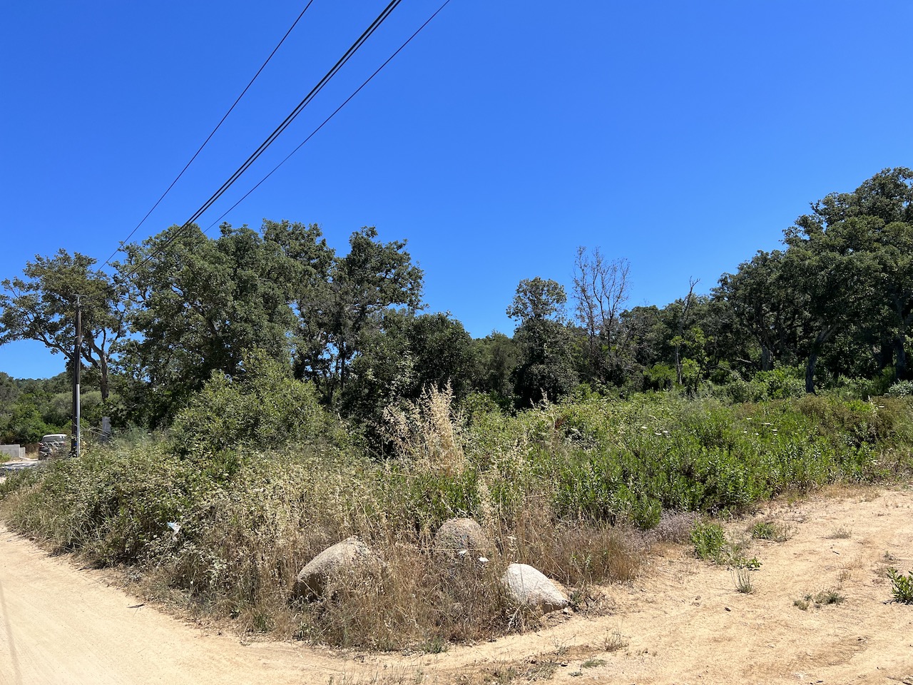 Ste Lucie de Porto-Vecchio: Terrain viabilisé avec permis de construire purgé de tout recours. Ste Lucie de Porto-Vecchio: Terrain viabilisé avec permis de construire purgé de tout recours.