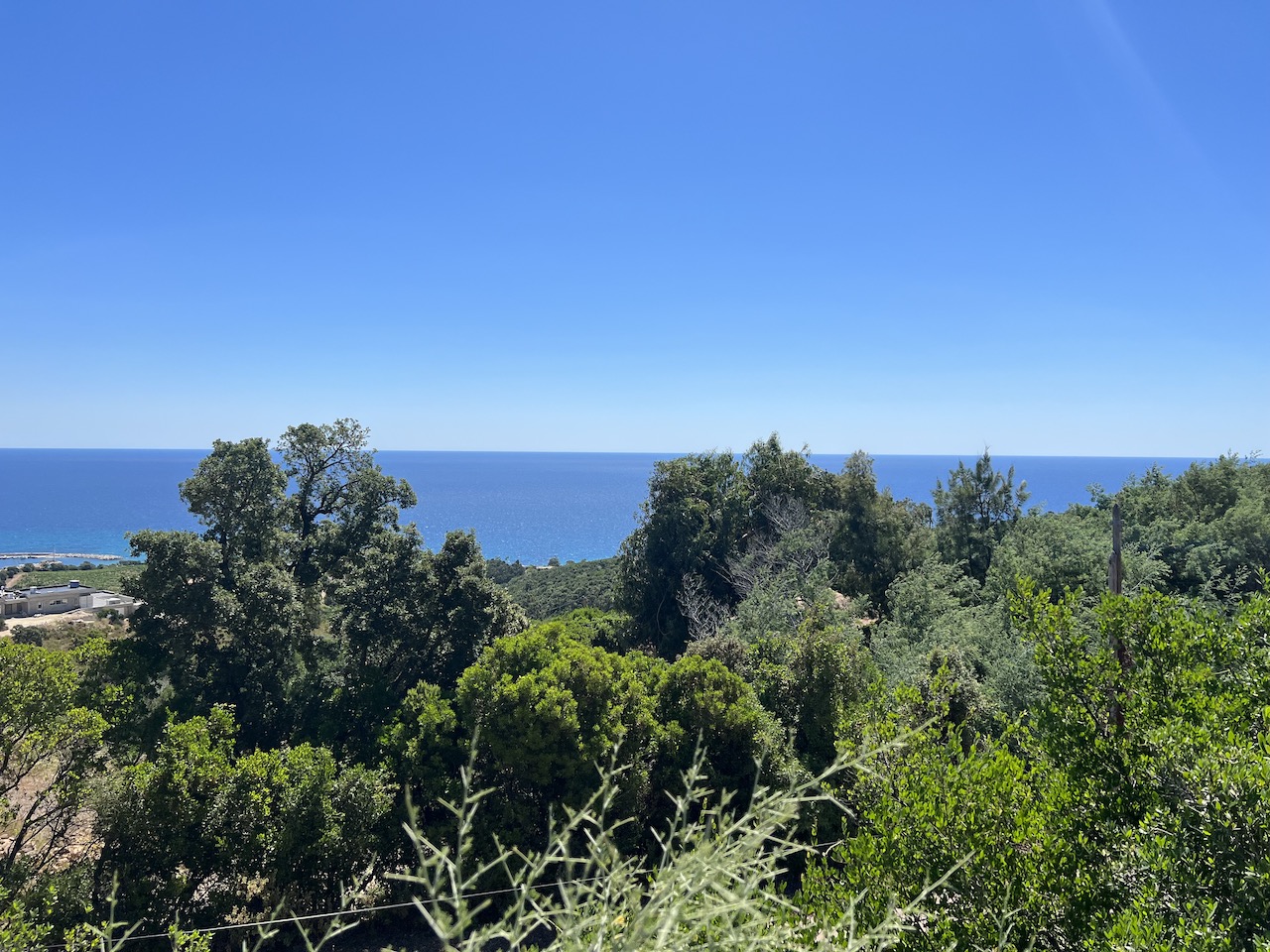 Sur les hauteurs de Solenzara, à moins de 2 minutes du centre: Terrain VUE MER PANORAMIQUE avec DÉBUT DE CONSTRUCTION. Sur les hauteurs de Solenzara, à moins de 2 minutes du centre: Terrain VUE MER PANORAMIQUE avec DÉBUT DE CONSTRUCTION.