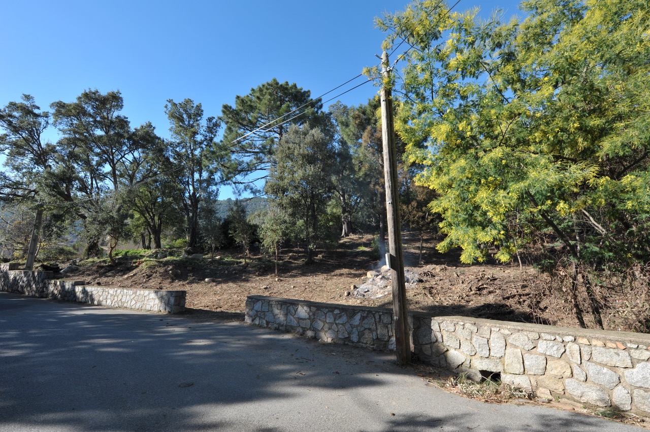 Conca village, à 15 min. des plages de Pinarello: Terrain à bâtir avec C-U OPÉRATIONNEL RÉCENT pour maison 140m2 hab + garage. Conca village, à 15 min. des plages de Pinarello: Terrain à bâtir avec C-U OPÉRATIONNEL RÉCENT pour maison 140m2 hab + garage.