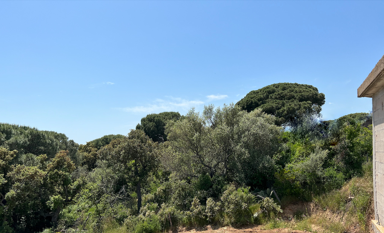 Porto-Vecchio Centre, IDÉALEMENT PLACÉ dans secteur en plein développement: TERRAIN A FORT POTENTIEL AVEC BÂTI EXISTANT POUR PROJET de CONSTRUCTION et PROMOTION (IMMEUBLE D'HABITATIONS et/ou COMMERCES).