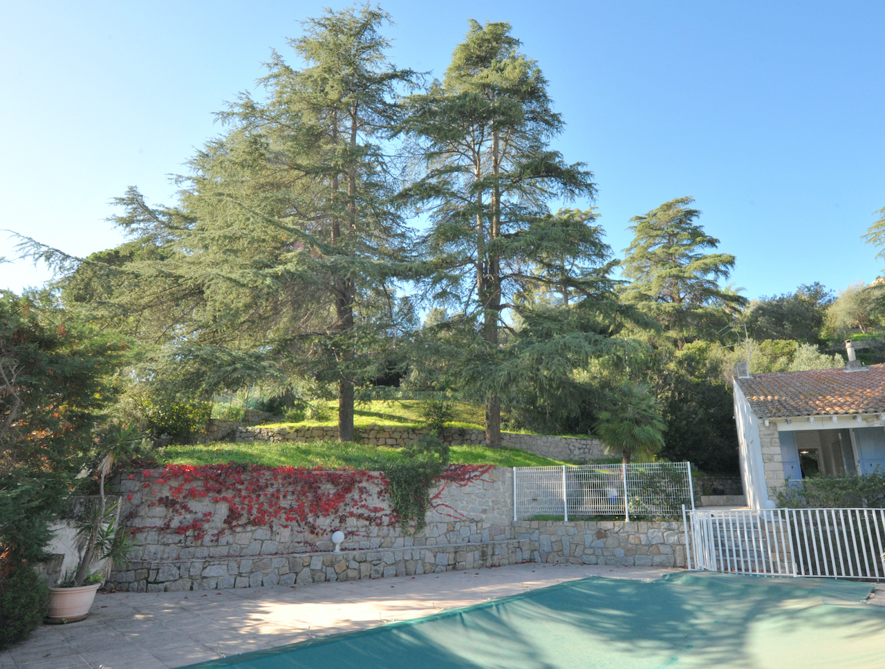 RARE. AJACCIO CENTRE, Parc Berthault: Dans QUARTIER RÉSIDENTIEL TRÈS RECHERCHÉ et à 300m. à pied de la plage et de tous commerces, MAISON DE VILLE AVEC PISCINE SUR TERRAIN ARBORÉ ET PAYSAGÉ.