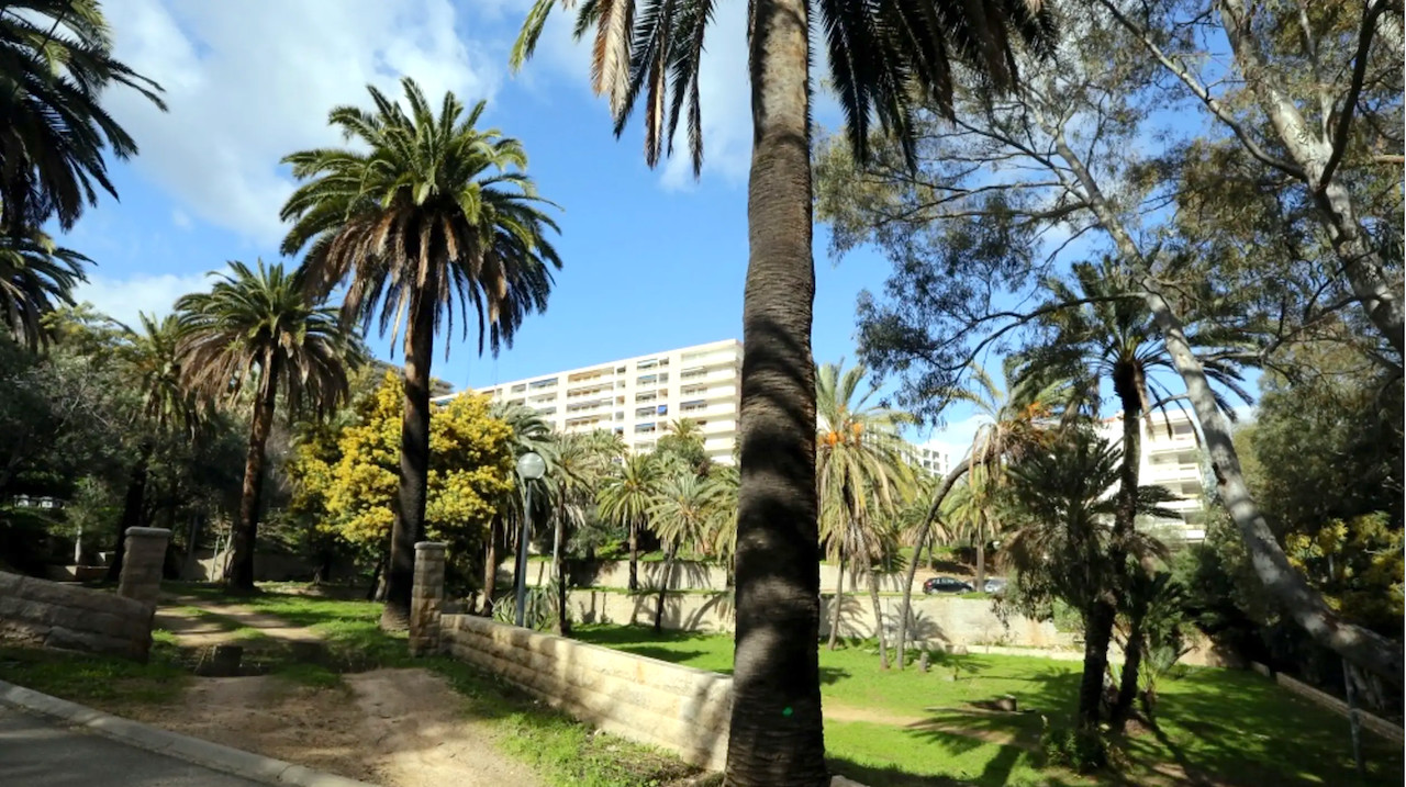RARE. AJACCIO CENTRE, Parc Berthault: Dans QUARTIER RÉSIDENTIEL TRÈS RECHERCHÉ et à 300m. à pied de la plage et de tous commerces, MAISON DE VILLE AVEC PISCINE SUR TERRAIN ARBORÉ ET PAYSAGÉ.