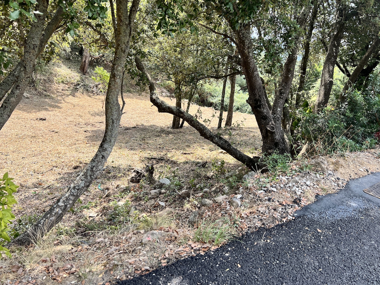 Conca village,  à moins de 10 min. du centre de Ste Lucie de Porto-Vecchio, 18 minutes des plages de Pinarello ou de Favone: Terrain à bâtir avec C-U OPÉRATIONNEL PURGÉ pour construction d'une maison individuelle. Conca village,  à moins de 10 min. du centre de Ste Lucie de Porto-Vecchio, 18 minutes des plages de Pinarello ou de Favone: Terrain à bâtir avec C-U OPÉRATIONNEL PURGÉ pour construction d'une maison individuelle.