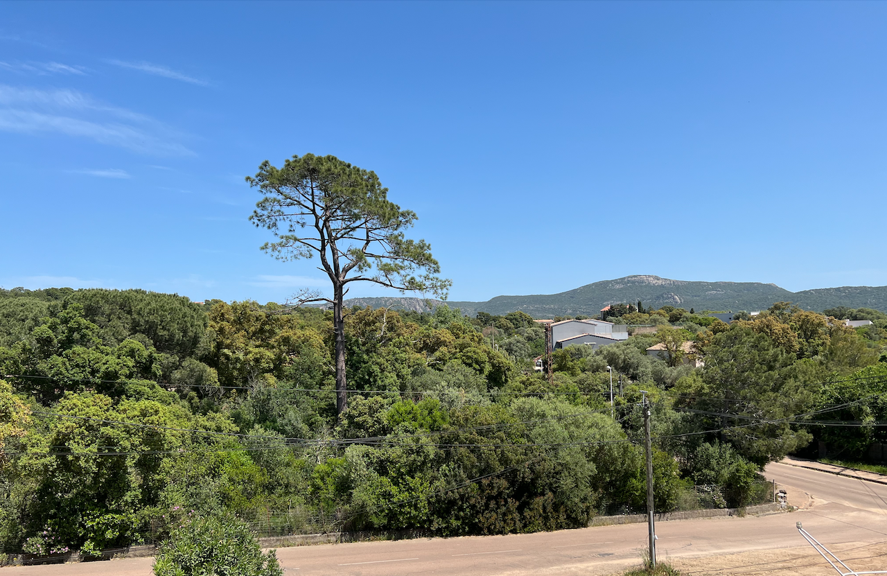 Porto-Vecchio Centre, IDÉALEMENT PLACÉ dans secteur en plein développement: TERRAIN A FORT POTENTIEL AVEC BÂTI EXISTANT POUR PROJET de CONSTRUCTION et PROMOTION (IMMEUBLE D'HABITATIONS et/ou COMMERCES).