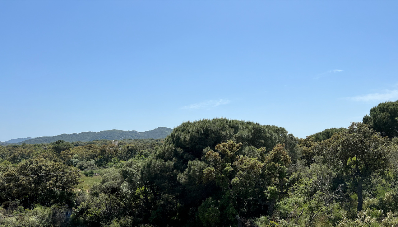 Porto-Vecchio Centre, IDÉALEMENT PLACÉ dans secteur en plein développement: TERRAIN A FORT POTENTIEL AVEC BÂTI EXISTANT POUR PROJET de CONSTRUCTION et PROMOTION (IMMEUBLE D'HABITATIONS et/ou COMMERCES).