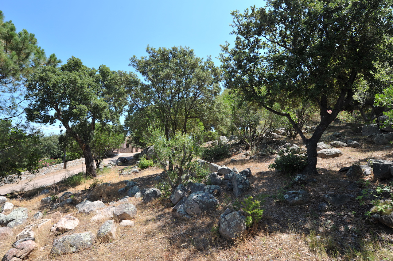 Terrain à bâtir VIABILISÉ avec VUE MER, La Testa (secteur Pinarello, Ste Lucie de Porto-Vecchio).