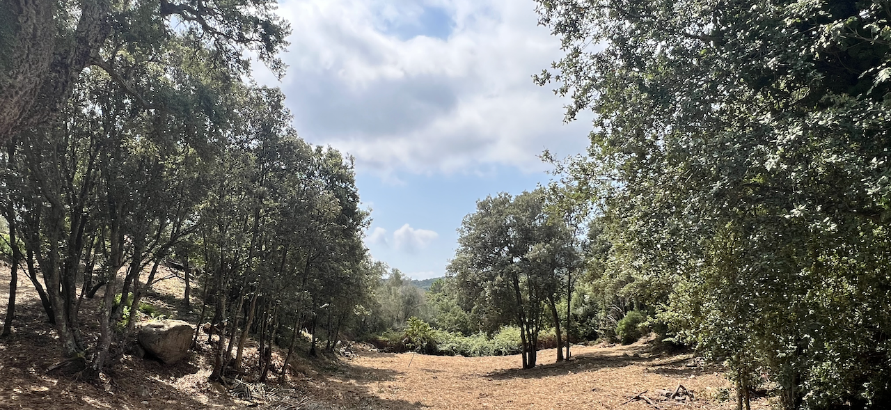 Conca village,  à moins de 10 min. du centre de Ste Lucie de Porto-Vecchio, 18 minutes des plages de Pinarello ou de Favone: Terrain à bâtir avec C-U OPÉRATIONNEL PURGÉ pour construction d'une maison individuelle. Conca village,  à moins de 10 min. du centre de Ste Lucie de Porto-Vecchio, 18 minutes des plages de Pinarello ou de Favone: Terrain à bâtir avec C-U OPÉRATIONNEL PURGÉ pour construction d'une maison individuelle.