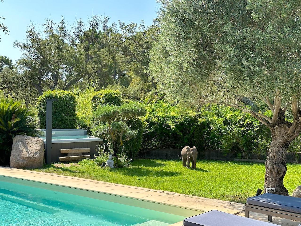 Marina di Fiori, à moins de 500m. de la plage: Villa T-6 avec PISCINE 12X4, JACUZZI et POOL-HOUSE/SALLE DE SPORT.