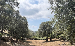 Conca village,  à moins de 10 min. du centre de Ste Lucie de Porto-Vecchio, 18 minutes des plages de Pinarello ou de Favone: Terrain à bâtir avec C-U OPÉRATIONNEL PURGÉ pour construction d'une maison individuelle.